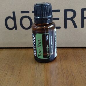 doTERRA　Tea Tree　15ml×6本