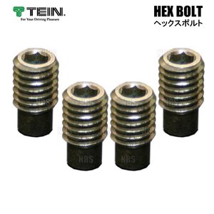 TEIN テイン HEX BOLT ヘックスボルト 4個セット EDFC ACTIVE/EDFC ACTIVE PRO/EDFC5 (SAP44-P8463-4S