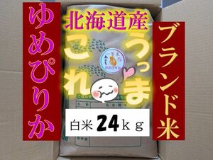 【送料無料】ゆめぴりか　１等米　白米24キロ　特A北海道米　令和５年産　農家直送 数量限定