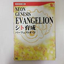 03736【中古】エヴァンゲリオン読み物 雑誌 映画パンフレット等 10点セット_画像3