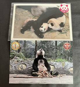 シャンシャン 公式ポストカード 親子 上野動物園 ウエノデパンダ イベント ポストカード