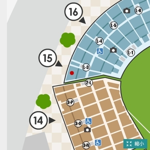 5/6(月) 広島カープvs阪神タイガース 甲子園球場 ビジター応援席 43段 1枚②