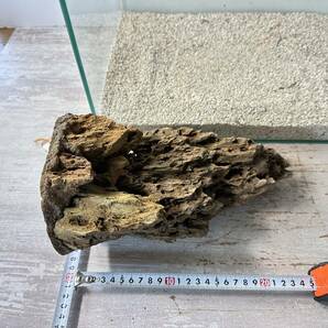 気孔石山（美型） 一点物の水槽オブジェ No. 4948 (45cm水槽)(W約20cm/H約25cm)の画像7