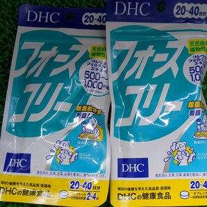 DHC フォースコリー 20~40日分 2袋の画像1