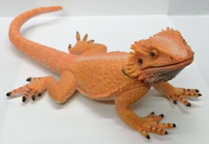 Safari　フトアゴヒゲトカゲ　爬虫類　サファリ　Bearded Dragon　フィギュア　約20cm