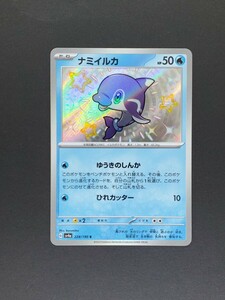 ポケモンカード　ナミイルカ　ポケカ　美品