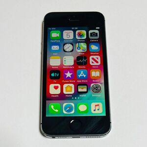 iPhone5s 64GB スペースグレイ ジャンク au
