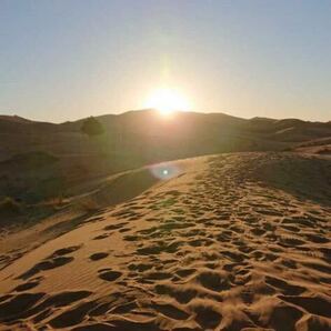 本物 レア品 サハラ砂漠の砂 約15g モロッコ メルズーガ サンド 観賞 コレクション 2020年1月採取の画像2