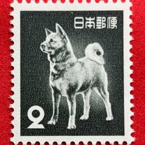 【秋田犬】2円 2種 未使用 NH美品 まとめてお取引可の画像2