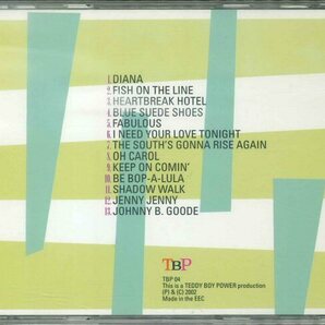 ★ネオロカ CD「フライング・ソーサーズ FLYING SAUCERS DIANA」2002年 ロックン・ロール・クラシックス カバー集の画像2