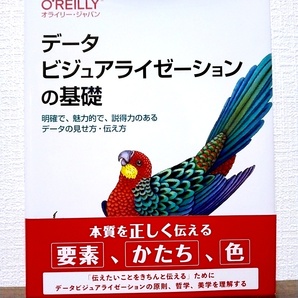 データビジュアライゼーションの基礎 明確で、魅力的で、説得力のあるデータの見せ方・伝え方