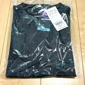 【新品】FoxFire TSデルタクルー　カーボンブラック　長袖　Mサイズ　メンズ　フォックスファイヤー　ファイアー　 Tシャツ