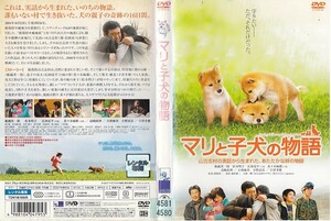 0204 マリと子犬の物語 船越英一郎 松本明子 広田亮平 佐々木麻緒