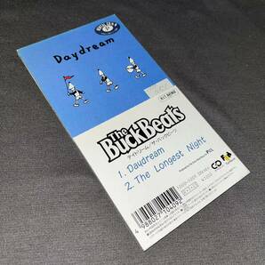 The Buckbeats / Daydream 日本盤 8cm CD (10GD5009) PWL ザ・バックビーツ / デイドリーム 8cmCD CDSの画像1