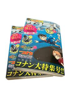 少年サンデーS 6月号付録 [魚影の書]付き2冊セット 劇場版名探偵コナン 黒鉄の魚影 黒の組織 ピンガ 特別袋とじ 青山剛昌先生絵コンテ