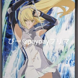 ダンまちIV ソフマップ/アニメガ BD3～4巻連動購入特典 非売品 B2タペストリー アイズ・ヴァレンシュタイン