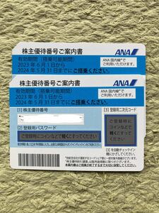 ANA株主優待券　2枚1組　2024年5月31日迄　コード送付