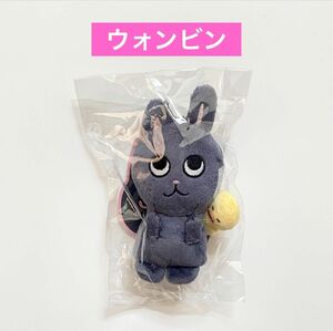 RIIZE ライズ ウォンビン 10cm ドールキーリング ぬいぐるみ バレンタイン 公式グッズ