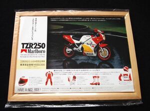 ヤマハ　ＴＺＲ２５０・マールボロカラー　１９８９年？　希少カタログ・美品・送料込み