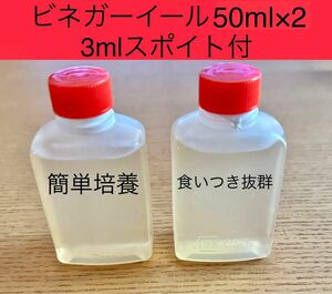 メダカ 針子 稚魚の餌 食いつき抜群 ビネガーイール 増量 50ml×2 100ml 3mlスポイト付 