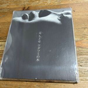 元ちとせ　ワダツミの木　CD 中古品