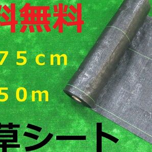 防草シート 0.75m×50m 黒色