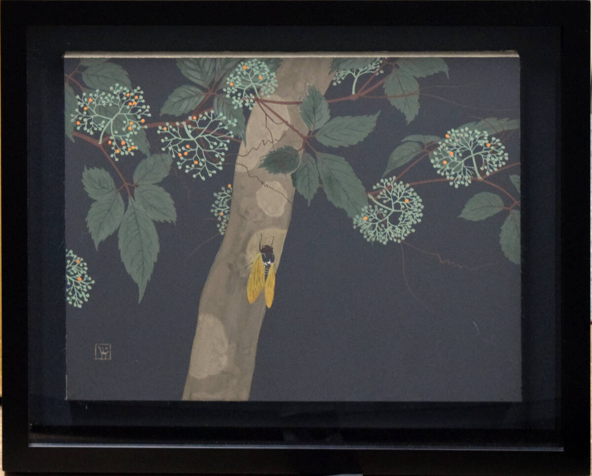 [Authentic Guaranteed] Kotaro Isobe Biotop Aburazemi Japanese painting No. 6/with sticker/Cicada/Insect, Painting, Japanese painting, Flowers and Birds, Wildlife