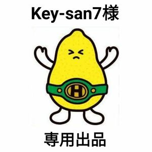 Key-san7様専用 ファスナー引き手大きいサイズ ゴールド×2個、ライトシルバー×2個 リングタイプ