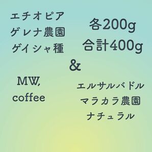 エチオピアゲイシャ&エルサルバドル各200g合計400g自家焙煎コーヒー豆