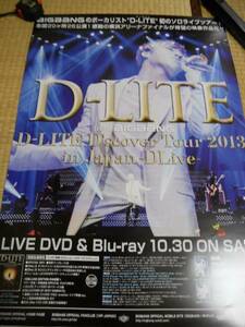 D-LITE　BIGBANG　Tour2013inJapan～DLive ポスター◆