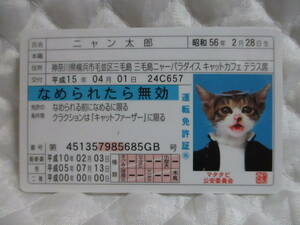【 なめ猫 ニャン太郎 】 免許証 なめられたら無効 ブルー 新品 即決 なめんなよ なめ猫同梱検索