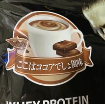 ビーレジェンド ホエイ プロテイン ここはココアでしょ風味 700g_画像2