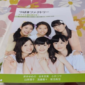 山岸理子 つばきファクトリー ハロプロまるわかりBOOK2016SUMMER切り抜き