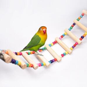 鳥用おもちゃ 小動物 はしご 止まり木 オウム インコ 鳥 小鳥 ストレス解消　木製　カラフル　組み立て簡単　おもちゃ