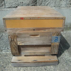 西洋蜜蜂越冬明け群7枚箱 (№3)の画像1