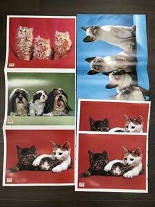 0401-05◆販促非売品 1975年 フジカラー 子猫 子犬 4枚 カレンダー部分なし