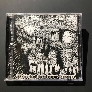 SPASM / CONTUMACY / PULVERIZED NECRO BRAIN - Rebirth Of The Ancient Corpses【CD】デスメタル グラインド death grind gore