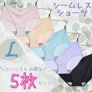 ＼５枚セット／カラー【シームレスショーツ】(L) シームレス パンツ パステルカラー ストレッチ 美尻 かわいい 縫い目なし 綿