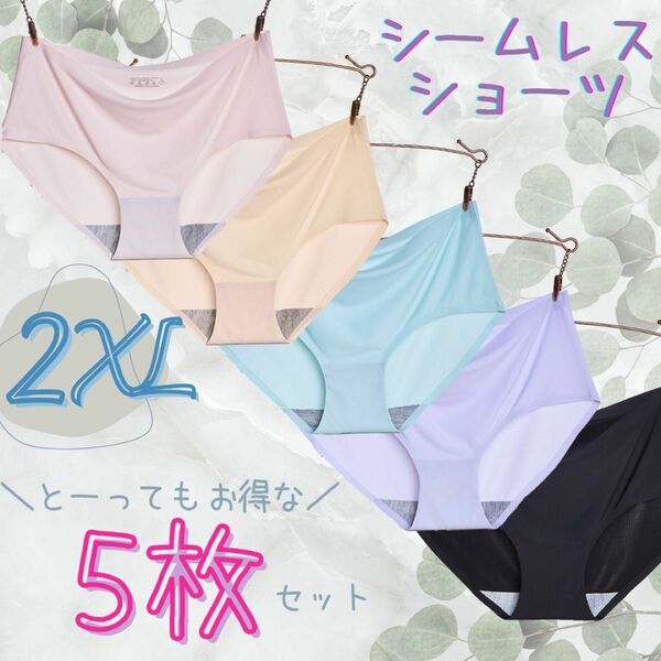 ＼５枚セット／カラー 【シームレスショーツ】(2XL) シームレス パンツ パステルカラー パンツ ストレッチ 美尻 かわいい