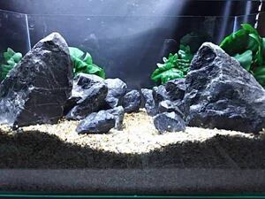 9[ popular commodity ] Kiyoshi . stone 12 kilo set * inspection aquarium dragon . stone ADA tropical fish ... aquarium 