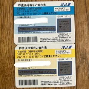 ANA株主優待券 2枚【期限：2024年5月31日と2024年11月30日】の画像1