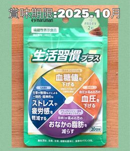 408☆ マルマン 生活習慣 GABA ブラックジンジャー サプリメント サプリ お腹の脂肪対策