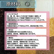 ◎庭屋が作った多肉用配合土◎ 1リットル 多肉植物　サボテン　挿木　種まき　魂根植物　観葉植物_画像3