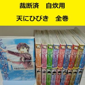 【裁断済】やまむらはじめ　天にひびき　全巻 ※おまとめ値引き対応商品