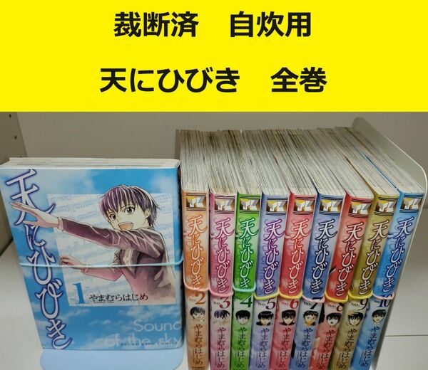 【裁断済】やまむらはじめ　天にひびき　全巻 ※おまとめ値引き対応商品