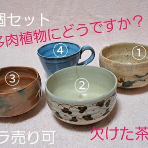 多肉植物などに 茶器 カップ 欠けたりひび割れたりしています