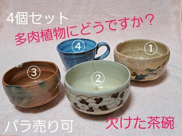 多肉植物などに 茶器 カップ 欠けたりひび割れたりしています