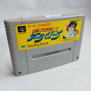 2白熱プロ野球ガンバリーグ’93 スーパーファミコン 動作確認済・端子清掃済[SFC6874_383]