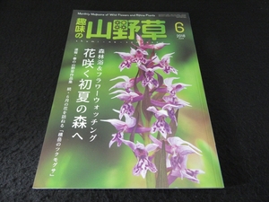 雑誌 『趣味の山野草 2018年6月号』 ■送120円　　森林浴＆フラワーウォッチング　花咲く初夏の森へ ○