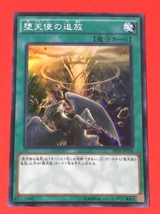 遊戯王　堕天使の追放　スーパー SPDS